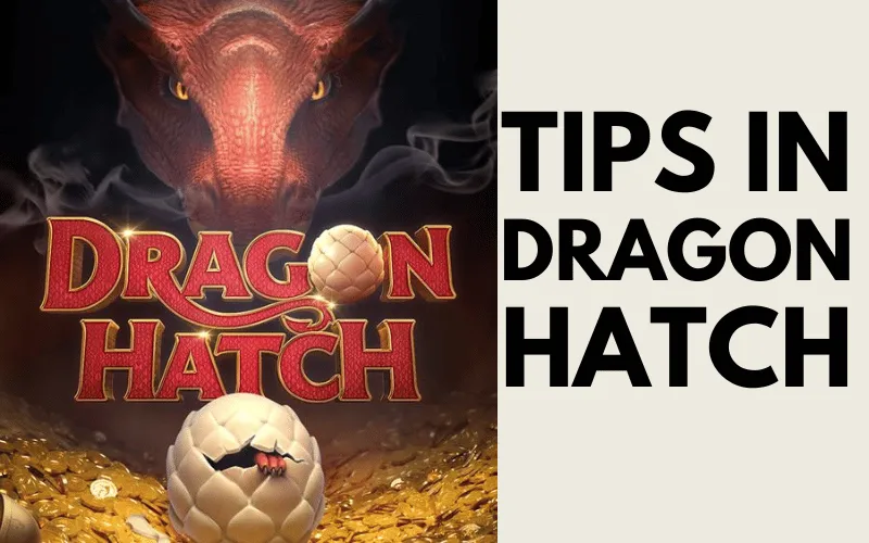 dragon hatch